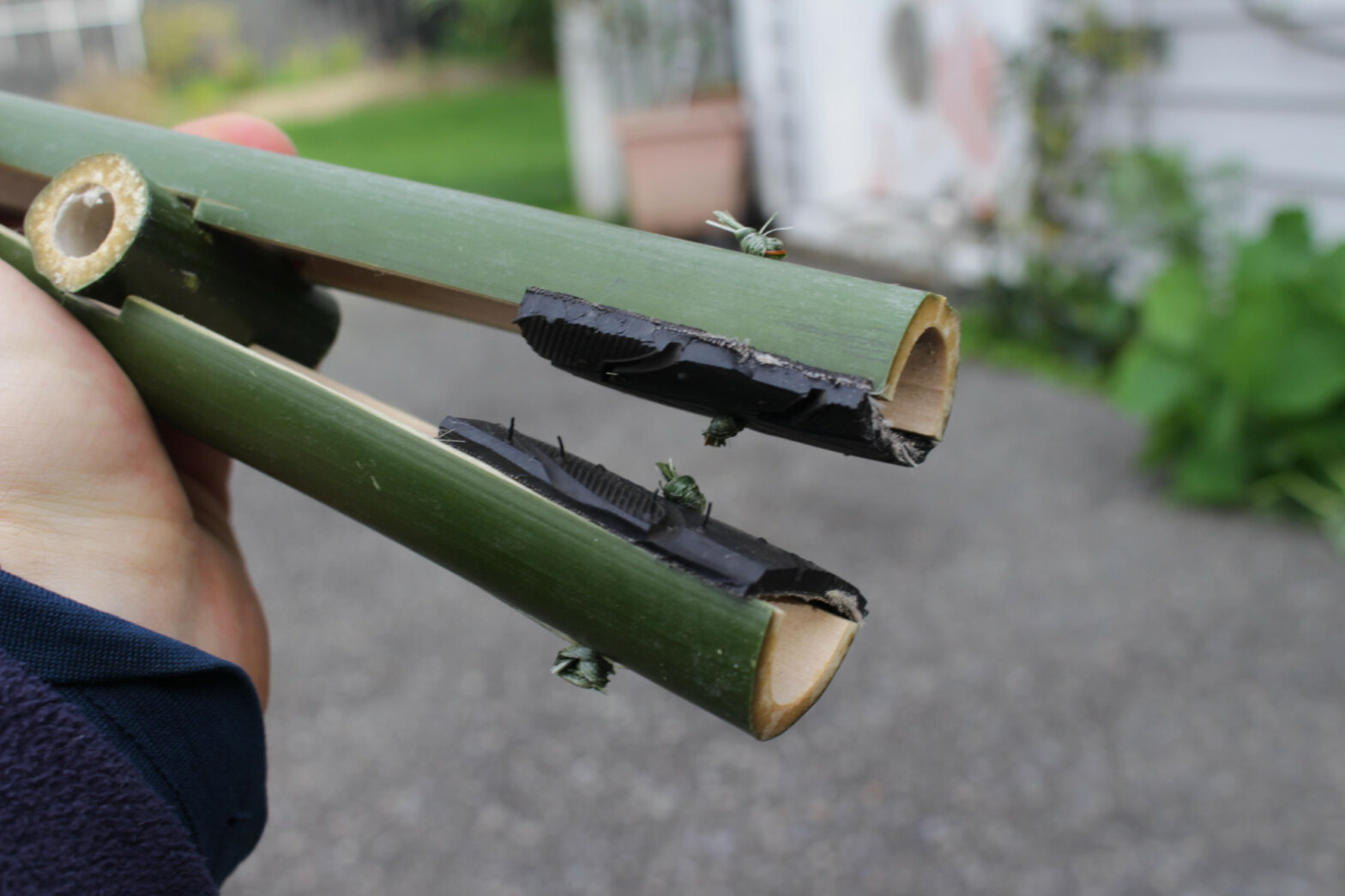 Bamboo Clamp
