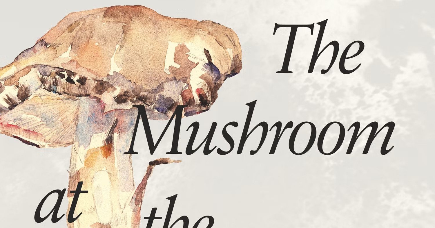 Reading Group: ‘The             Mushroom at the End of the World: On the Possibility of Life             in Capitalist Ruins’ by Anna Lowenhaupt Tsing